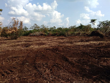 Off Site Land Clearing